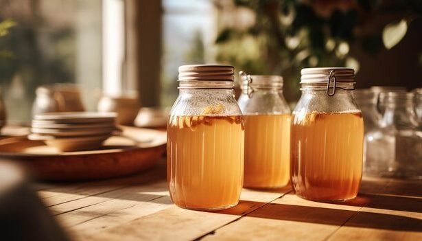 Fermentation Fever: A Scientific Perspective on Gut Microbiota and Nutritional Benefits