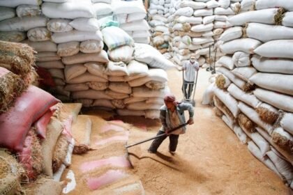 Cambodia's Rice Exports Generate Over $930 Million in Early 2025, Driven by Strong Paddy and Fragrant Rice Demand