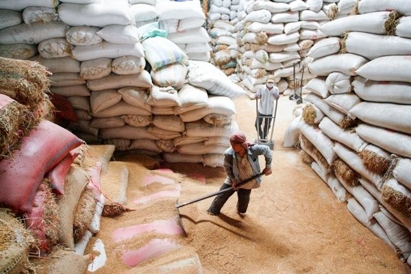 Cambodia's Rice Exports Generate Over $930 Million in Early 2025, Driven by Strong Paddy and Fragrant Rice Demand