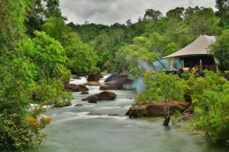 Cardamom Mountains Travel Guide