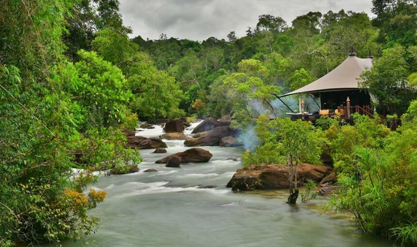 Cardamom Mountains Travel Guide