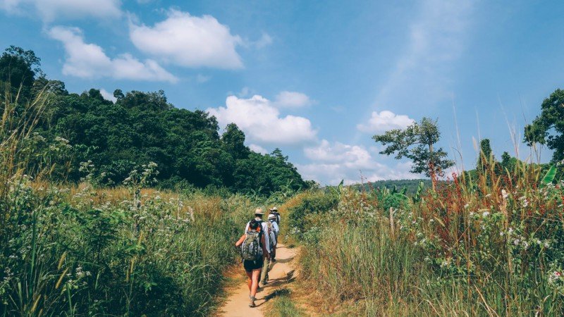 Things to Do at the Cardamom Mountains