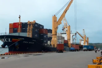 Phnom Penh Autonomous Port Sees Nearly 30% Surge in Container Traffic in Early 2025