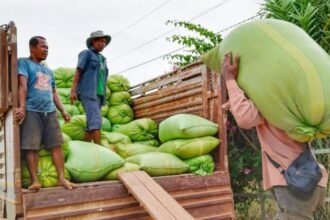 Cambodia’s Agricultural Exports Grow Nearly 28% in First Half of 2025
