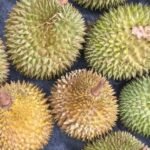 Cambodia Secures Approval to Export Durians Directly to China