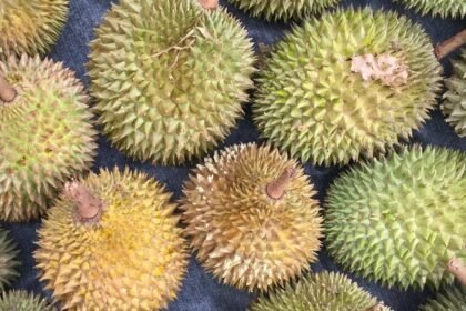 Cambodia Secures Approval to Export Durians Directly to China