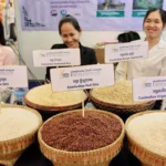 Cambodian Rice Federation to Lead Delegation to ANUGA 2025 in Germany