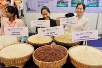 Cambodian Rice Federation to Lead Delegation to ANUGA 2025 in Germany