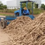 Agricultural Exports Near $4 Billion as Cambodia Sees Strong Growth in 2025