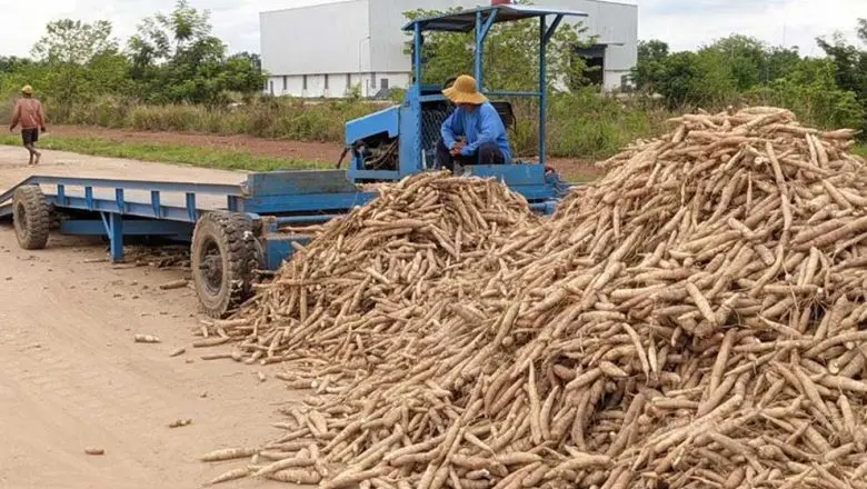 Agricultural Exports Near $4 Billion as Cambodia Sees Strong Growth in 2025