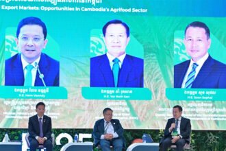 CDC Highlights 15-Year Tax Incentives and New Cashew Industrial Park to Drive Agrifood Growth