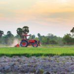 Cambodia Agriculture Export Surges Past $4 Billion in First 10 Months of 2025