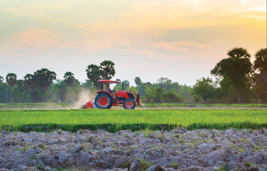 Cambodia Agriculture Export Surges Past $4 Billion in First 10 Months of 2025