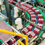 Royal Group Phnom Penh SEZ