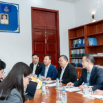 Shijiazhuang Hongray Group Cambodia medical plant