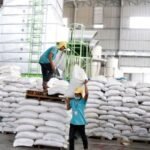 Cambodia rice export boom