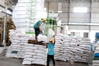Cambodia rice export boom