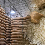 Cambodia rice exports