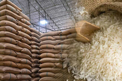 Cambodia rice exports
