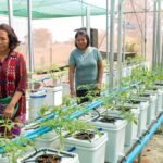 integrated farming in Cambodia