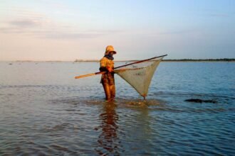 Why the High Seas Treaty Matters for Cambodia’s Coastline and Ocean Conservation