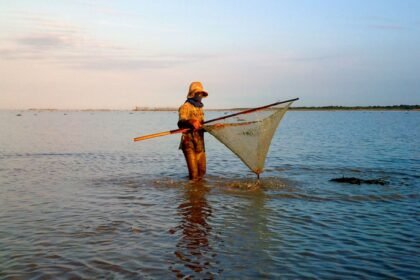 Why the High Seas Treaty Matters for Cambodia’s Coastline and Ocean Conservation