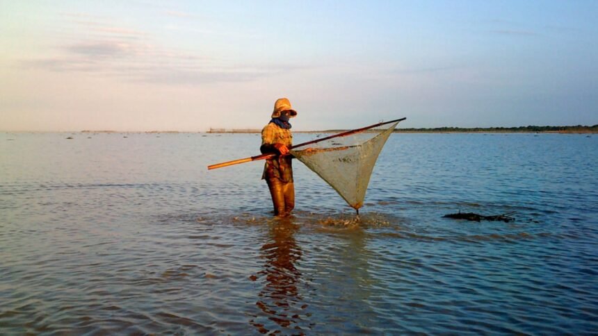 Why the High Seas Treaty Matters for Cambodia’s Coastline and Ocean Conservation