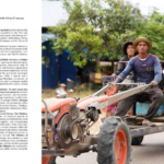 Displaced persons return home