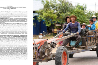 Displaced persons return home