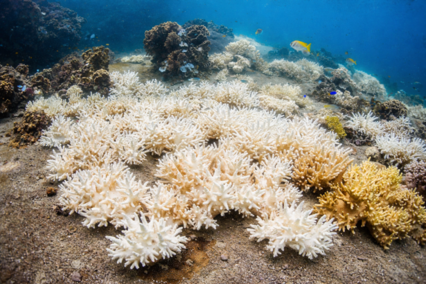 heatwaves extreme weather Asia 2026