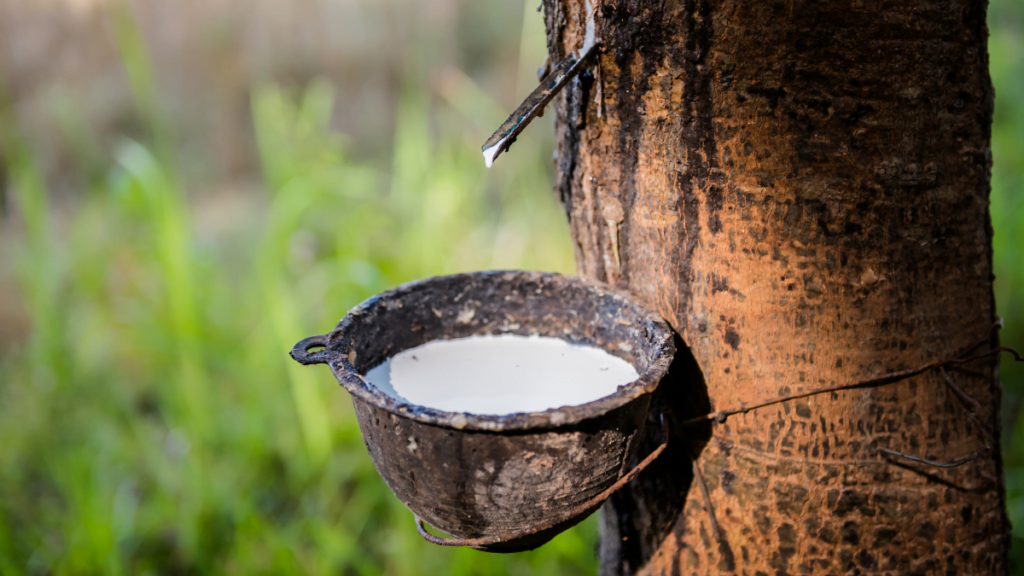 Cambodia rubber exports 2025