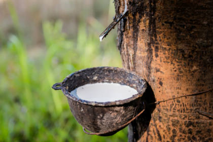 Cambodia rubber exports 2025