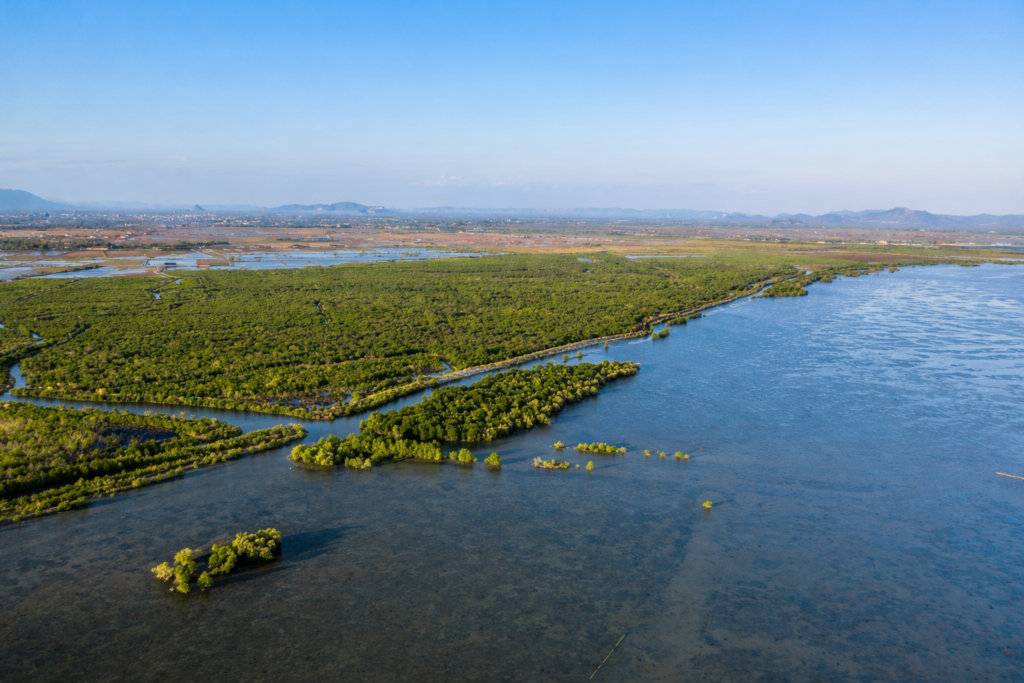 World Wetlands Day Cambodia ecotourism