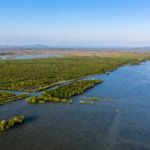 World Wetlands Day Cambodia ecotourism