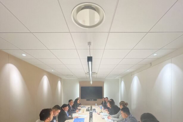 Cambodia Germany cooperation