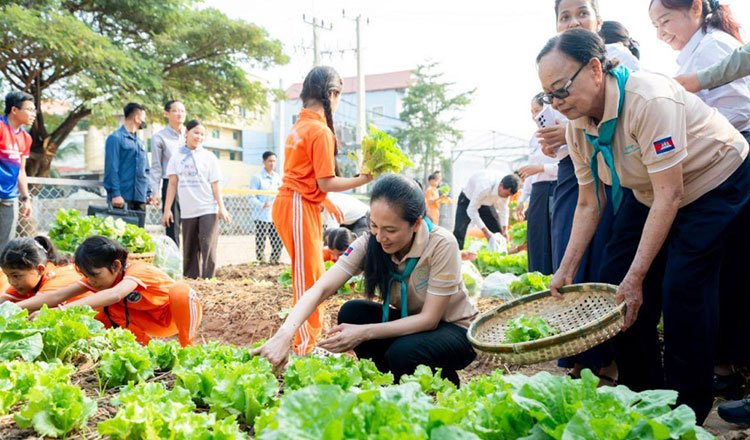 Displaced residents tending vegetable plots at a national farming program in Cambodia.