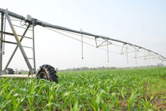 Cambodia agriculture sector contribution to GDP farming fields and rural economy