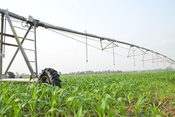 Cambodia agriculture sector contribution to GDP farming fields and rural economy