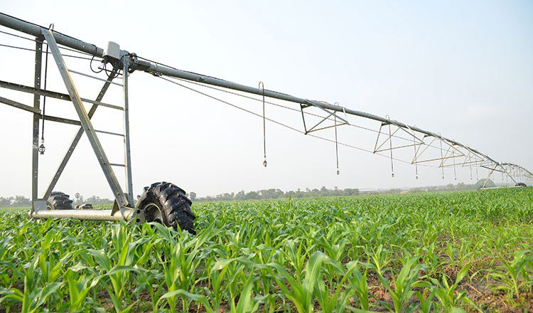 Cambodia agriculture sector contribution to GDP farming fields and rural economy
