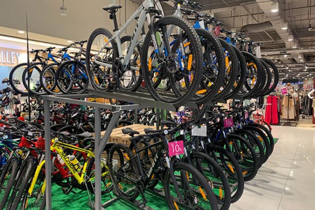 Cambodia bicycle export shipment January 2026