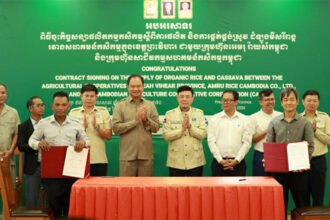 Amru Rice to Double Preah Vihear Organic Rice Sourcing to $12 Million